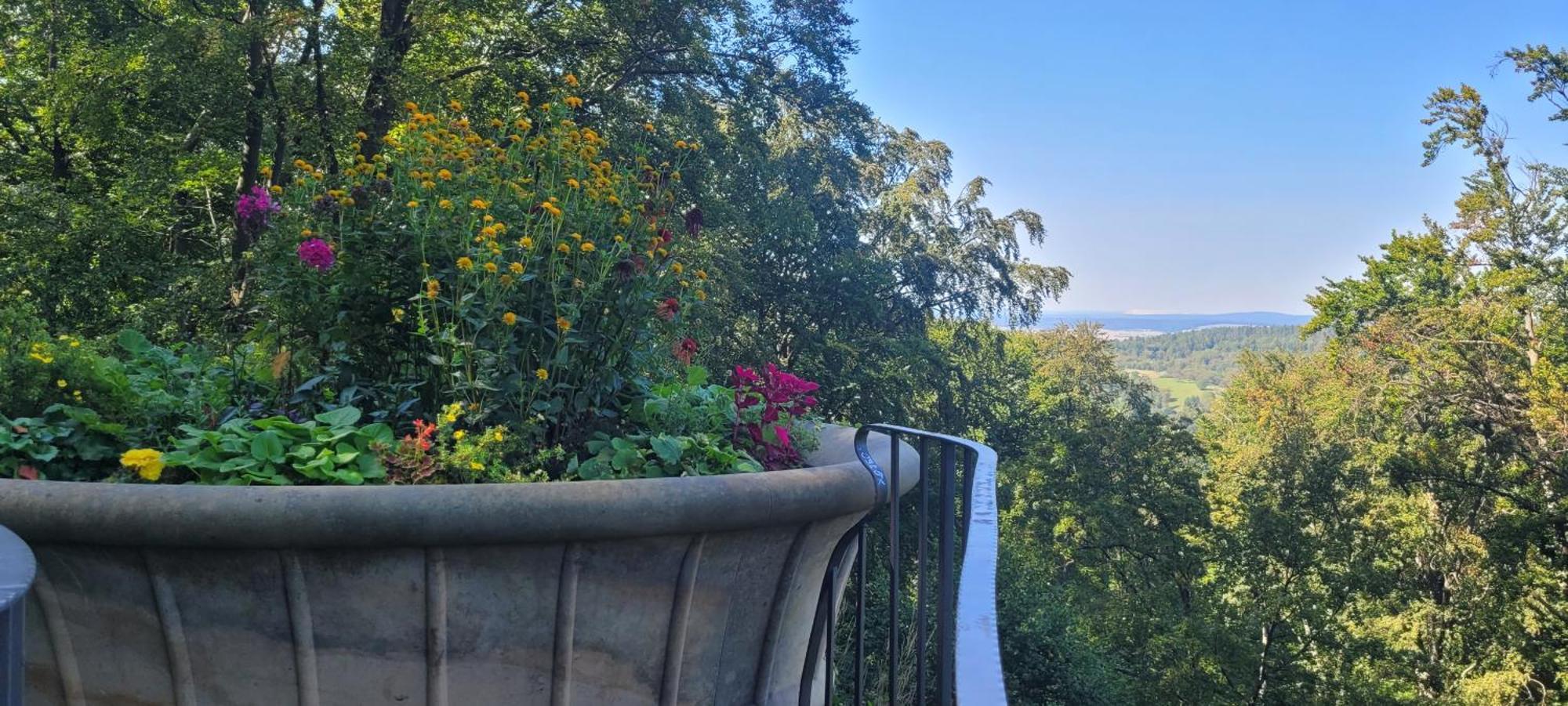 Villa Charlotte 바드리벤쉬타인 외부 사진