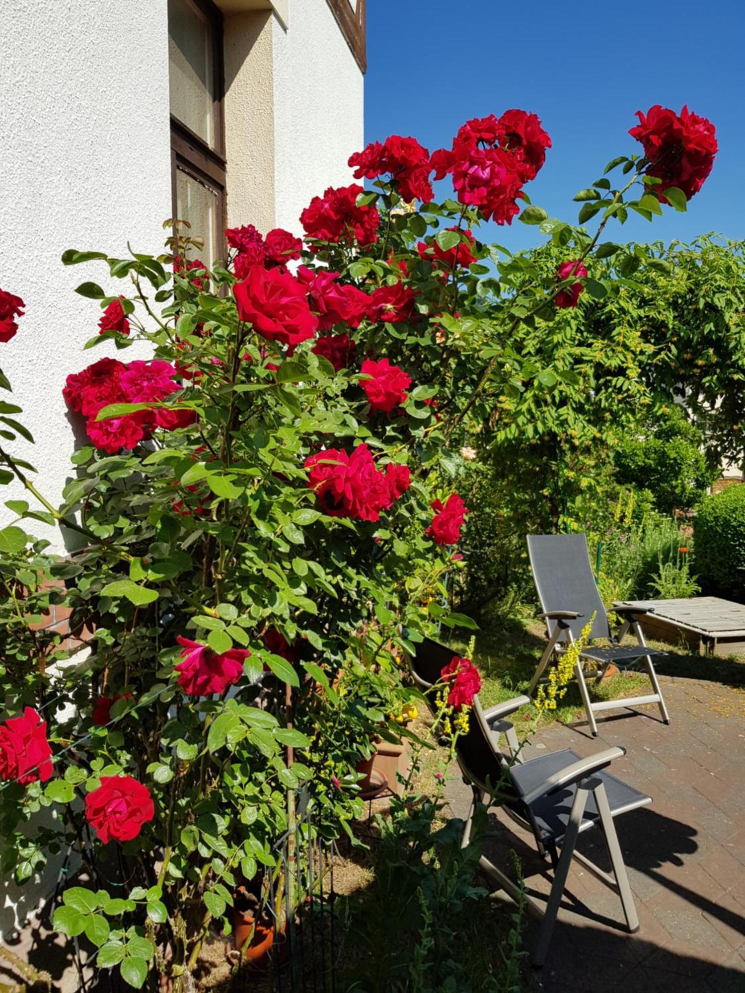 Villa Charlotte 바드리벤쉬타인 외부 사진