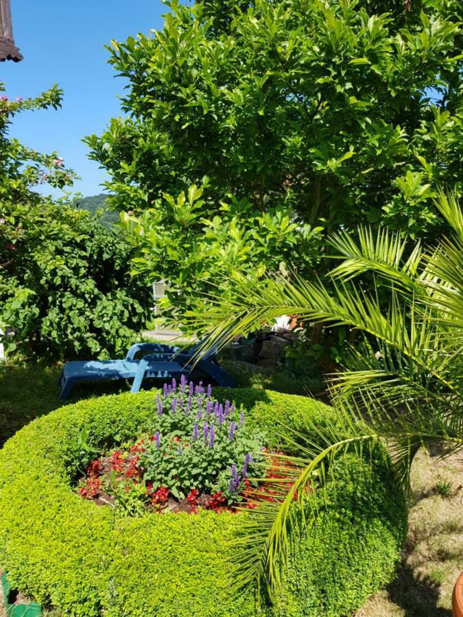 Villa Charlotte 바드리벤쉬타인 외부 사진